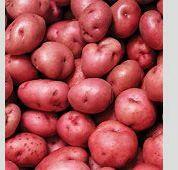 Potatoes(3)